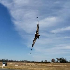 Meet your Posher, Edwin